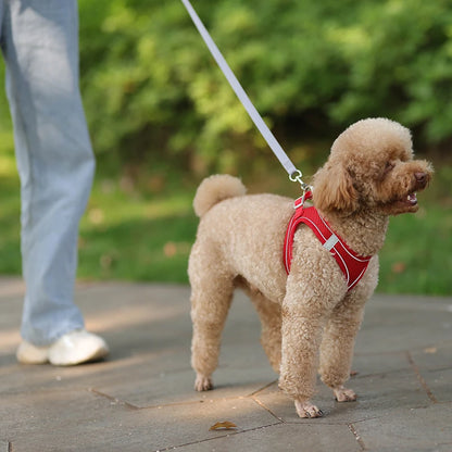 SnugFit Dog Harness Set