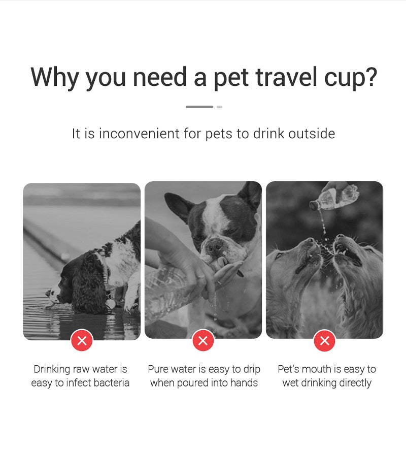 Portable Pet Water Dispenser