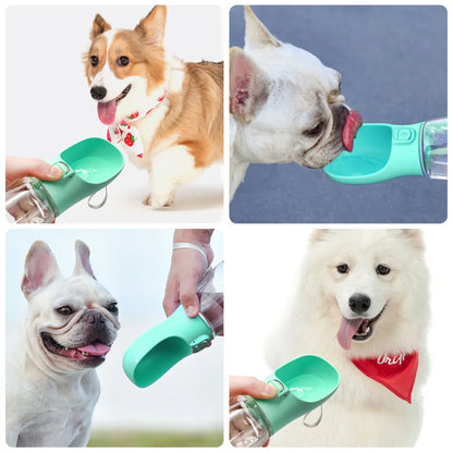 Portable Pet Water Dispenser