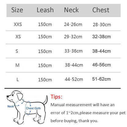 SnugFit Dog Harness Set