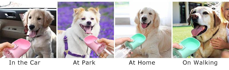 Portable Pet Water Dispenser