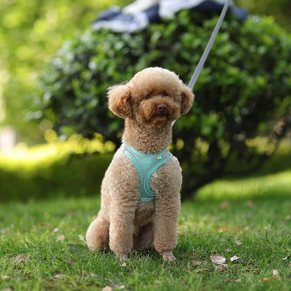 SnugFit Dog Harness Set