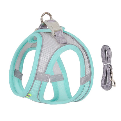 SnugFit Dog Harness Set