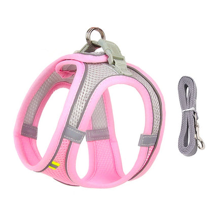 SnugFit Dog Harness Set