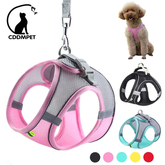 SnugFit Dog Harness Set