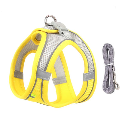 SnugFit Dog Harness Set